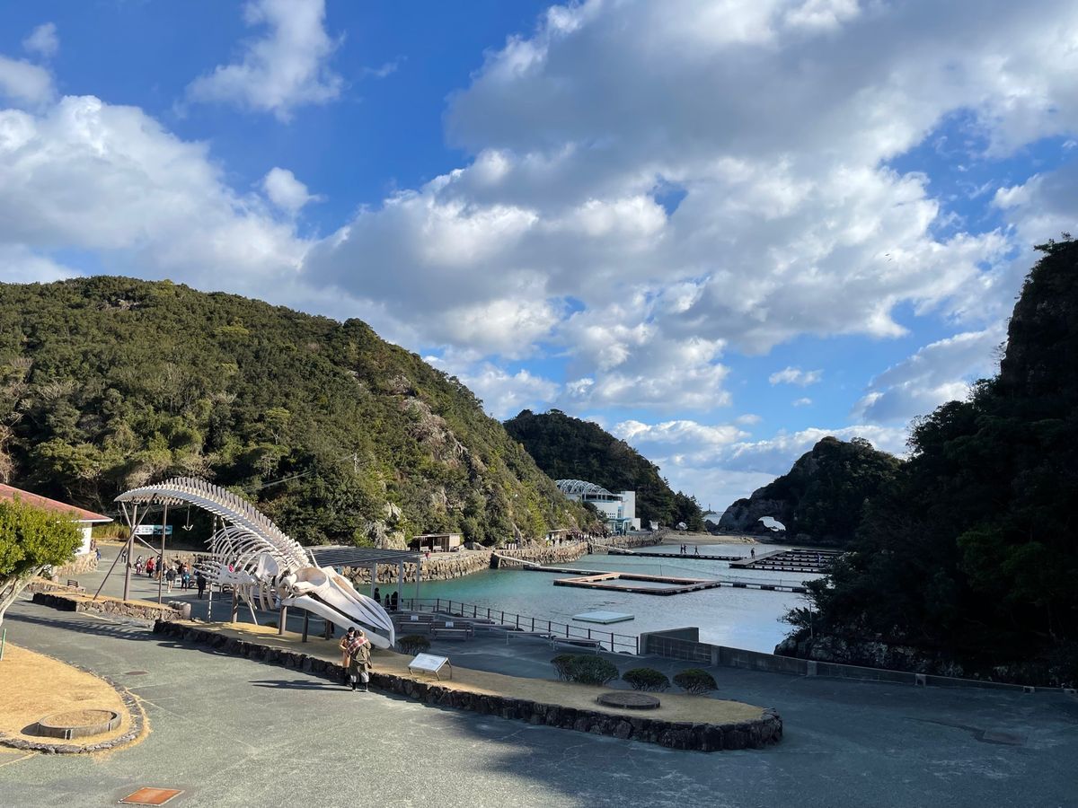 太地町の鯨の博物館。こちらでは鯨のショーも行われていました。ゴンドウクジラ...