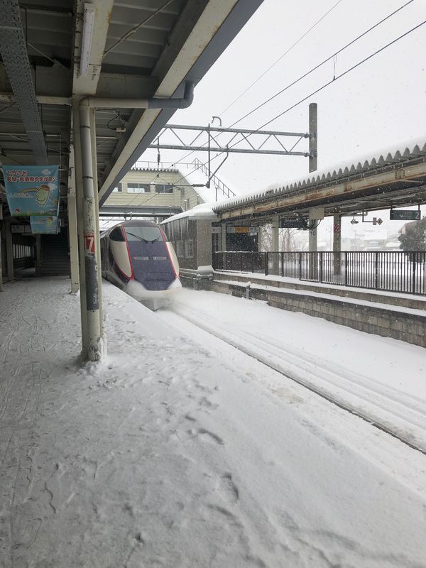 日本・銀山温泉「銀色世界の銀山温泉、仙台旅」の写真：久しぶりのつばさに乗って、山形に出発！！...