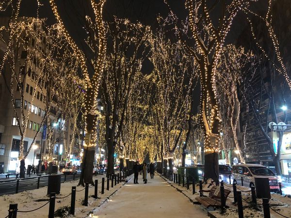 日本・銀山温泉「銀色世界の銀山温泉、仙台旅」の写真：翌日仙台に移動、
肉、デザート、肉🥩美食...