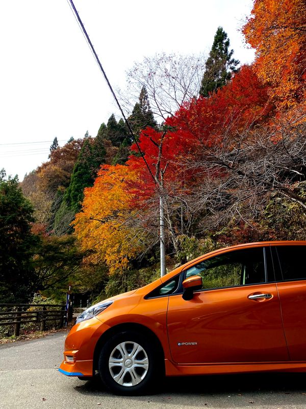 日本・鳥取砂丘「鳥取県　智頭町　鳥取市」の写真