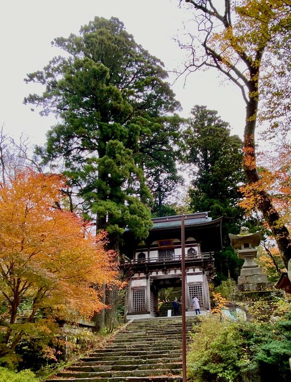 日本・島根県「鳥取県　安来市、島根県　出雲市」の写真
