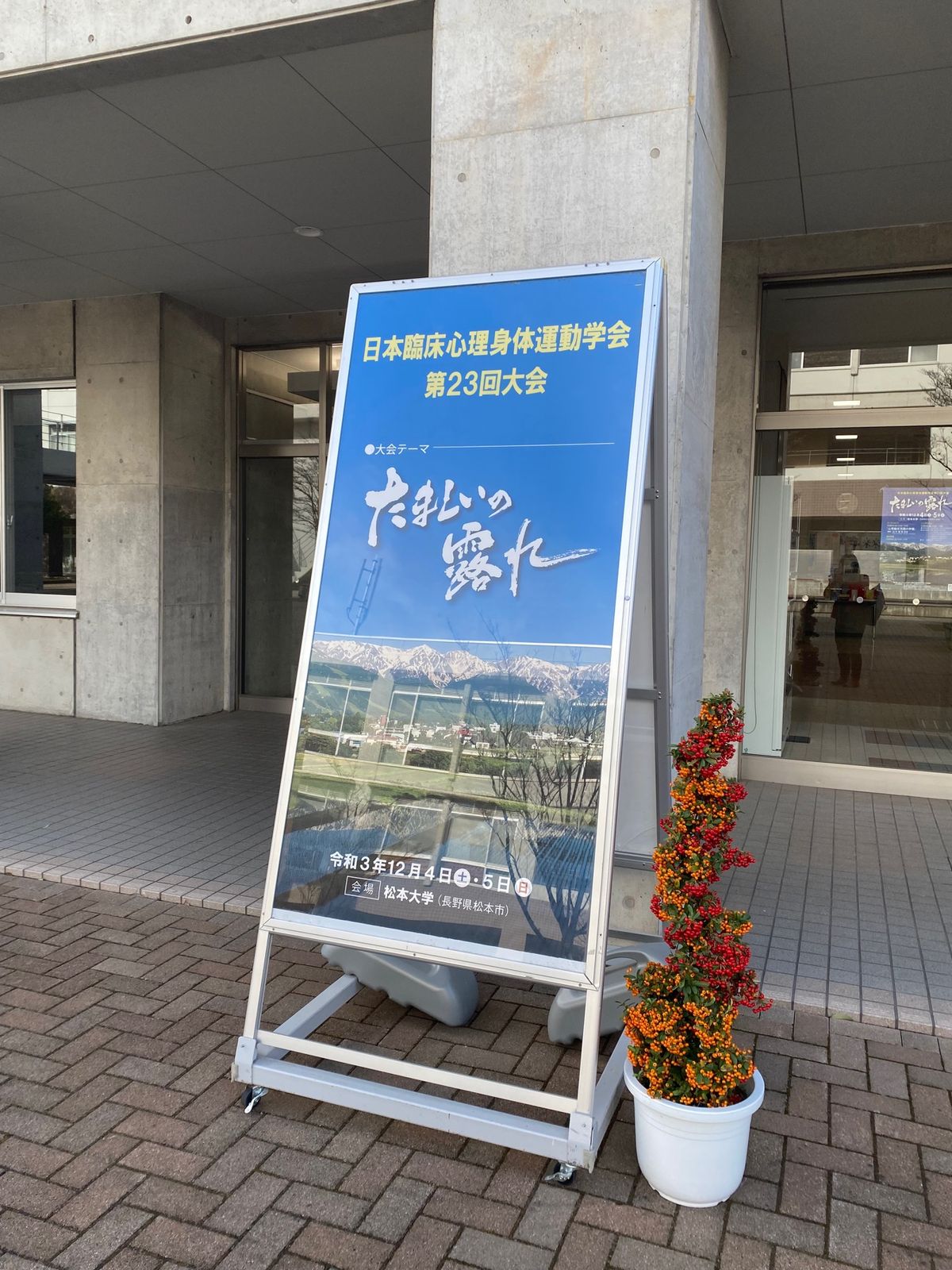 馬刺しと日本酒、美味しかったです！