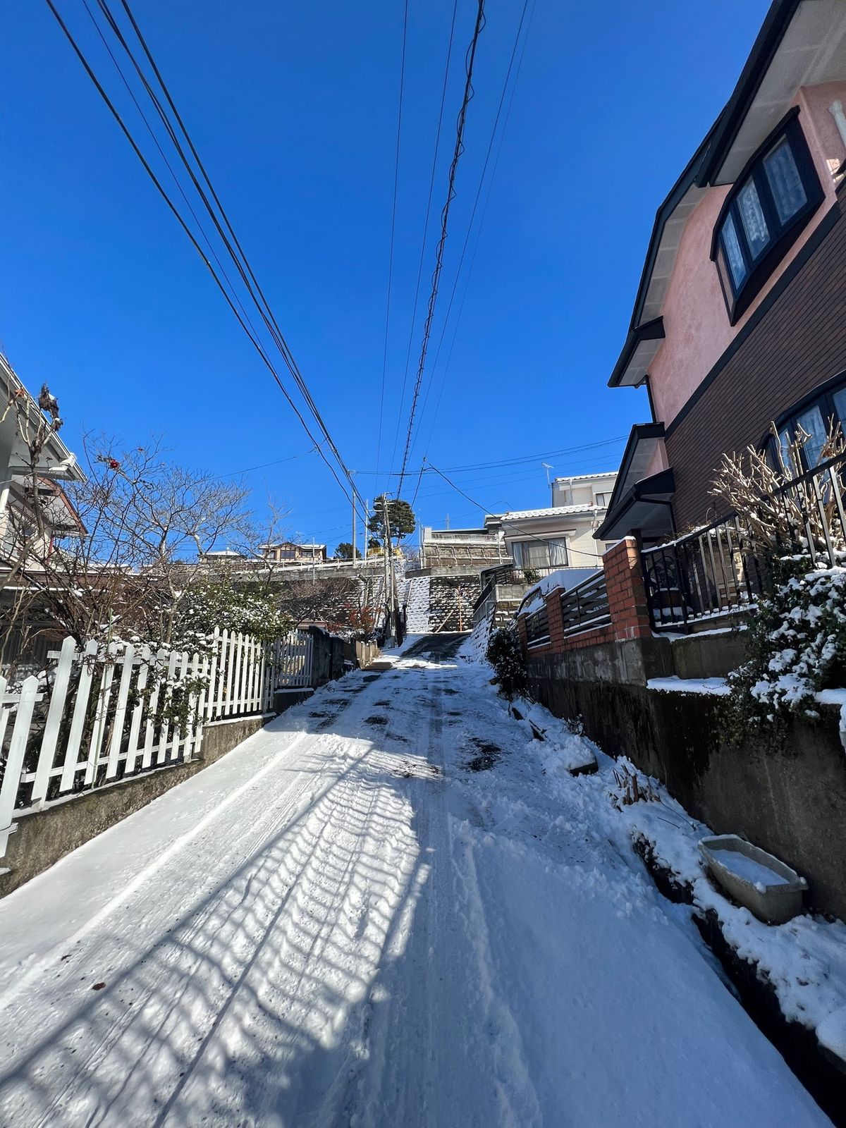 初詣へ。
その前に歩きながら母校の小学校へ。
東京の小学校に比べると校庭が...