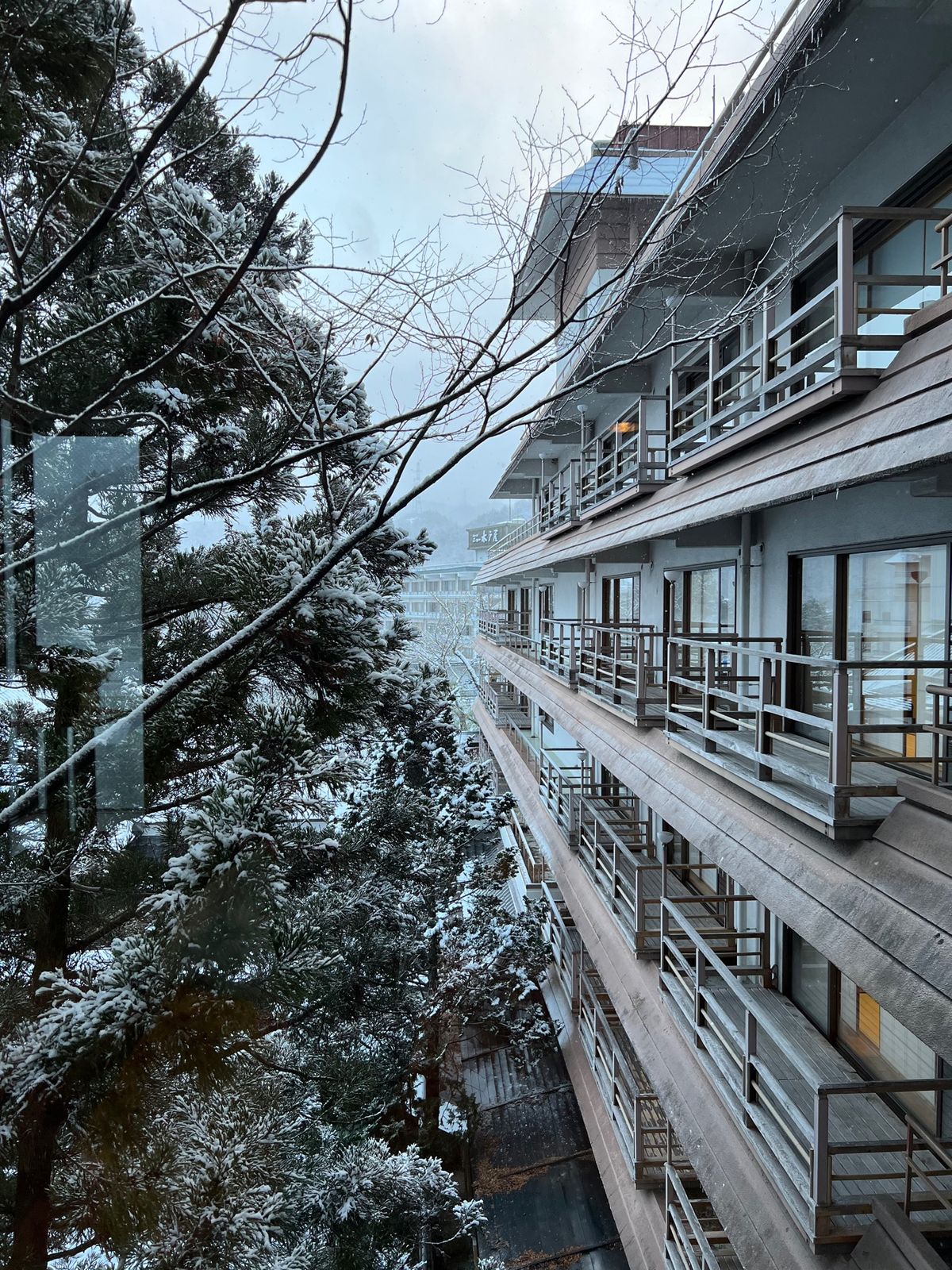 佐勘の飛天館
部屋広い〜
氷柱もすごい〜
