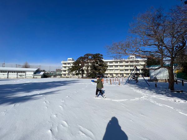 日本・宮城県「2年ぶりの宮城へ」の写真：初詣へ。
その前に歩きながら母校の小学校...