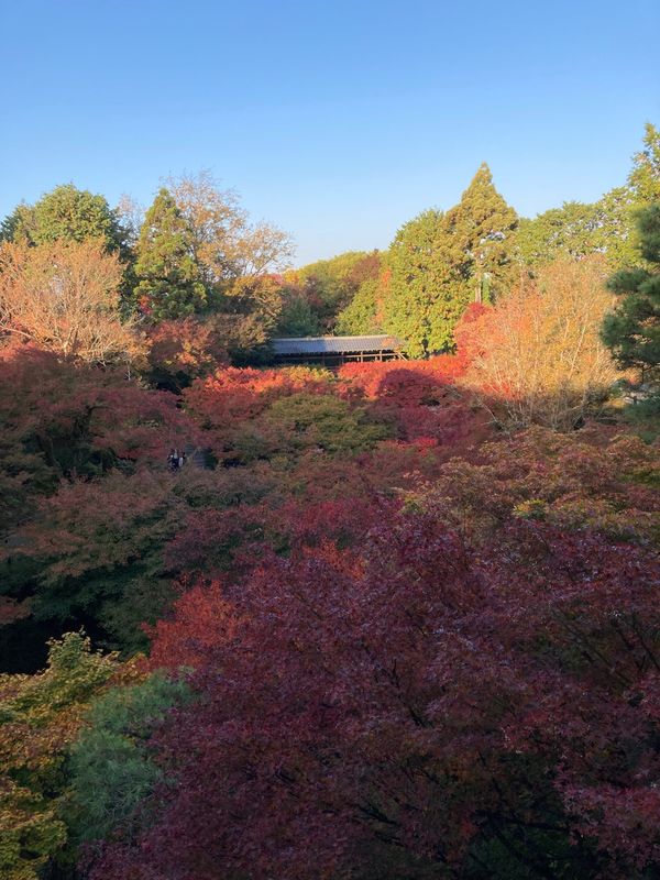 日本・京都府「京都」の写真