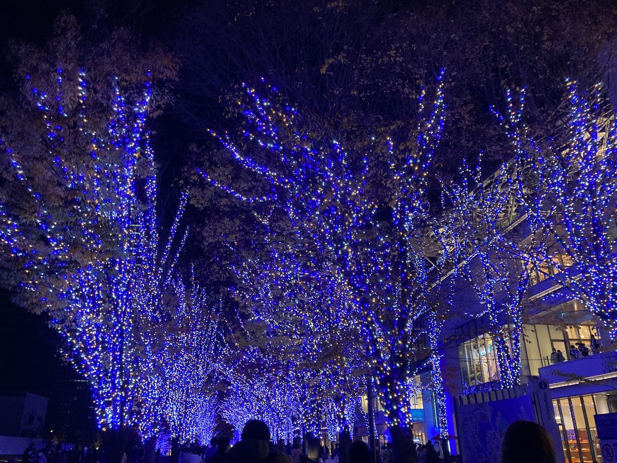 横浜のイルミネーションが素敵