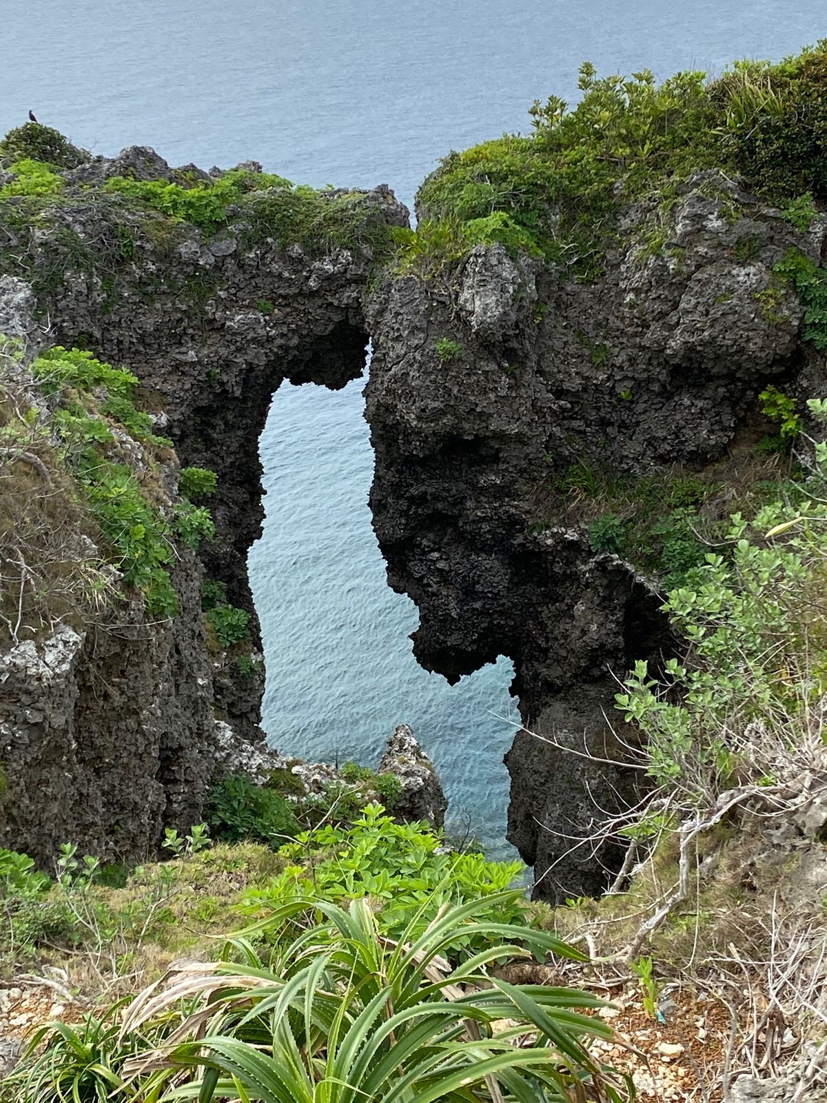 沖縄
●万座毛の壁
●万座毛
●万座毛の窓
●北谷にあったピンクのポスト
...