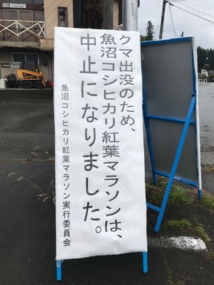 熊出没でマラソン大会中止に…
マラソン合宿になってしまいました。