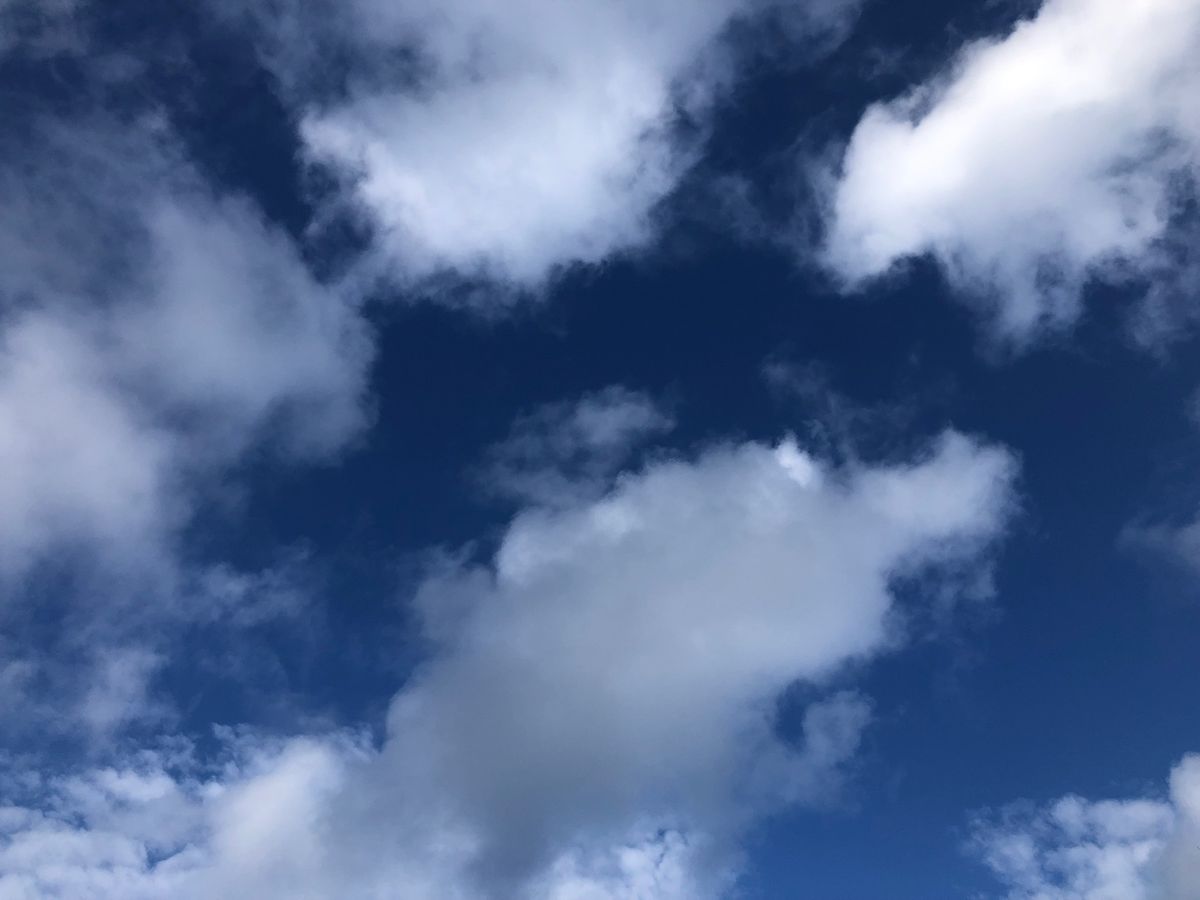 2022年1月2日　晴天
空を見ていたら抜ける様な青空で、
プラネタリウム...