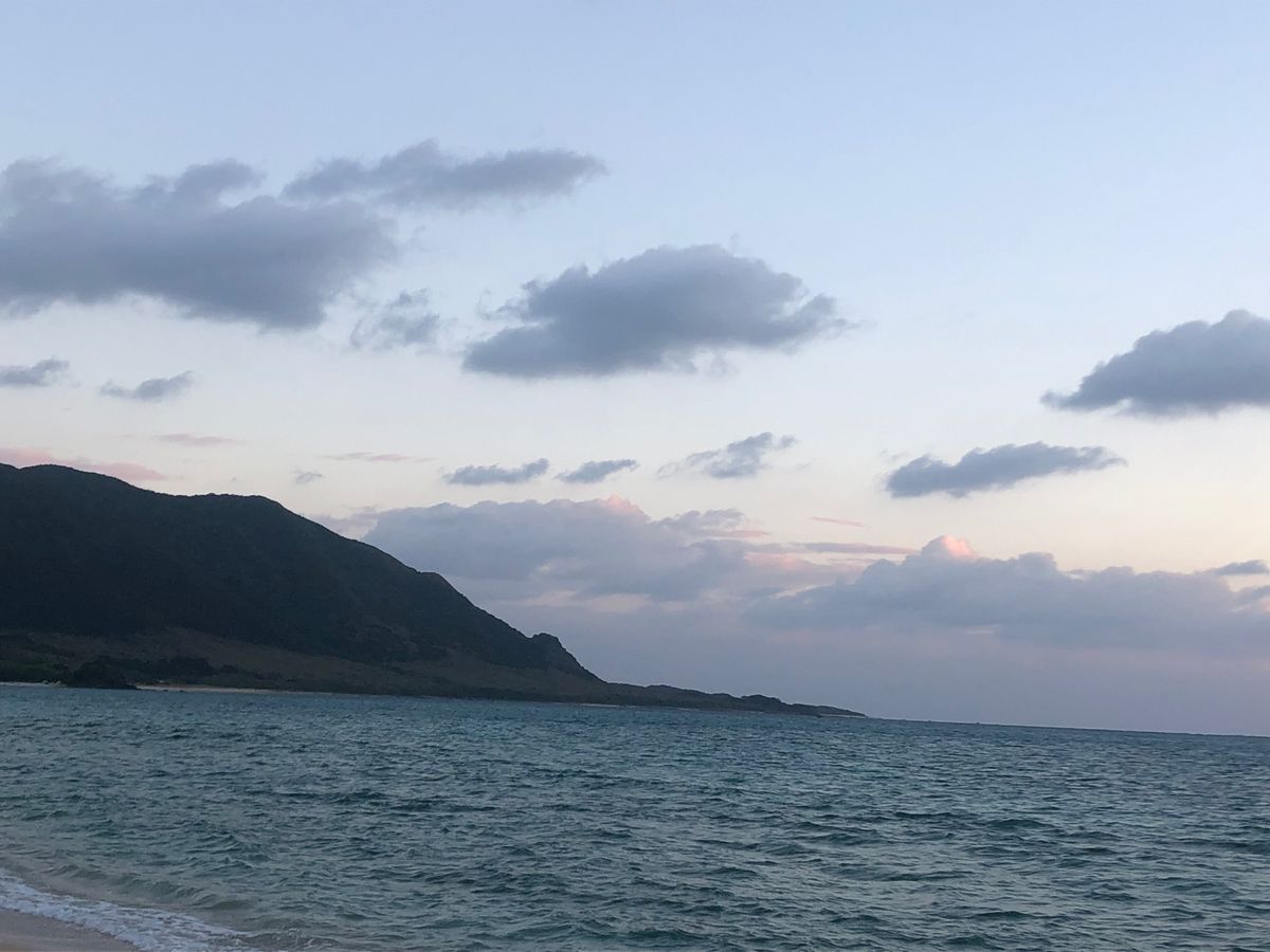 初日の出を見るために、明石海岸に。
この入り口を抜ければ海。
馬も見にきて...