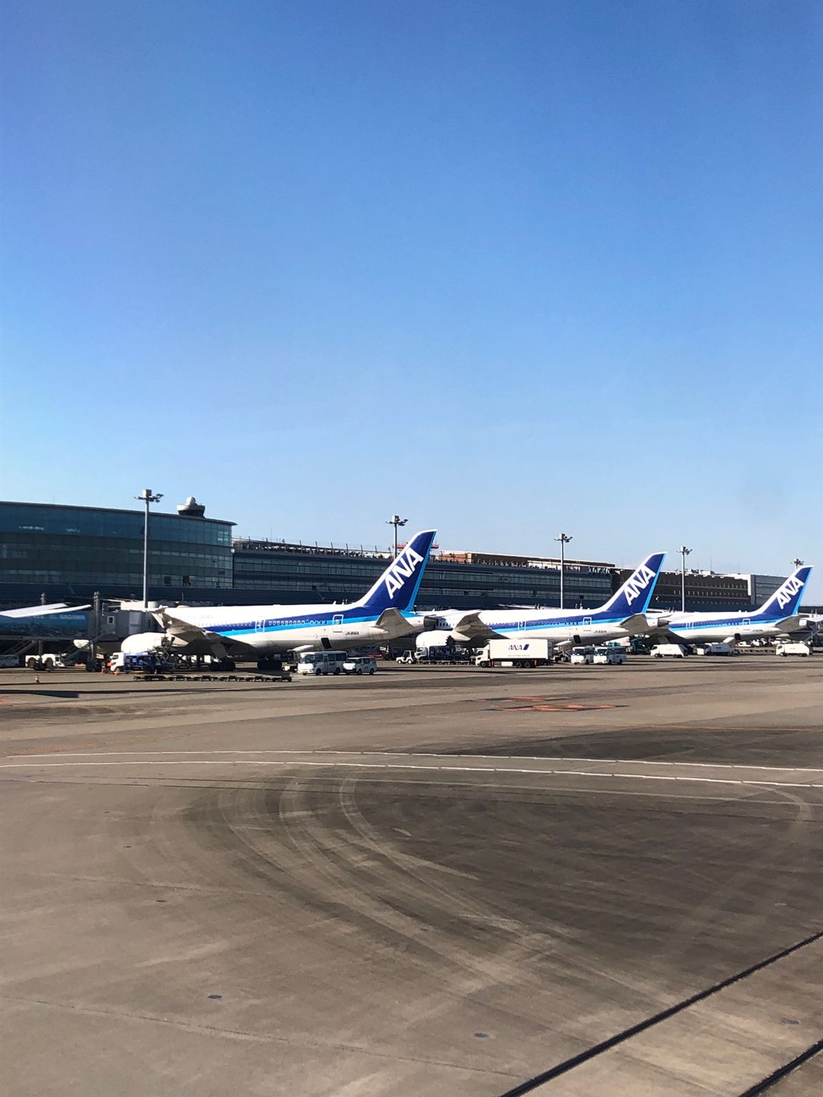 2022年1月3日　晴れ
石垣島から羽田空港に戻ってきました。
機内でちゅ...