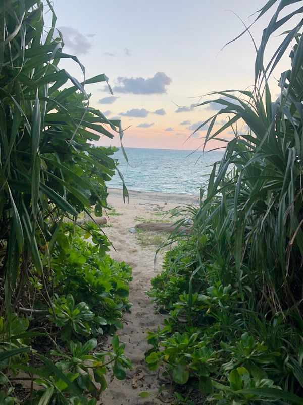 日本・石垣島「石垣島」の写真：初日の出を見るために、明石海岸に。
この...