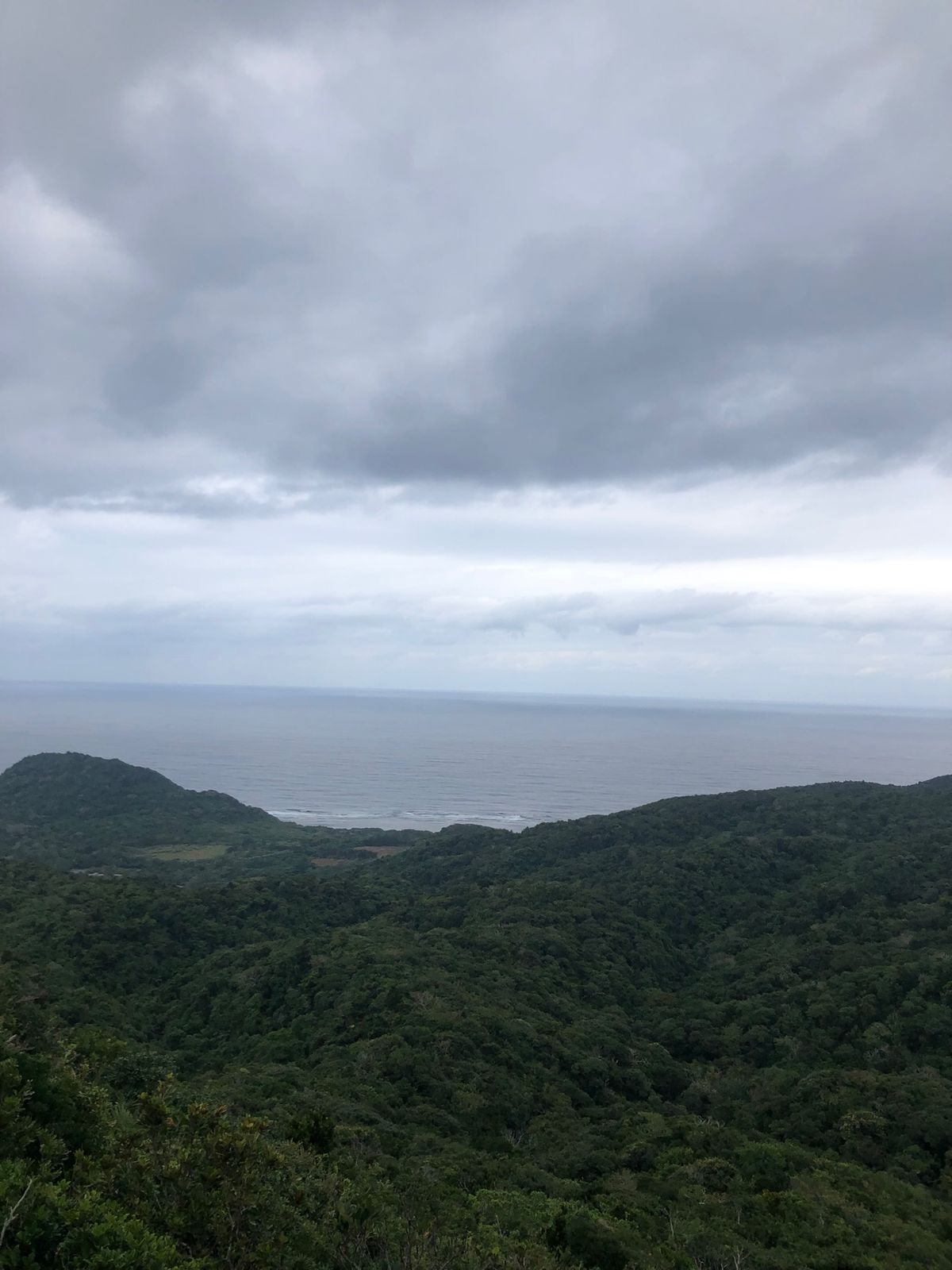 2022年1月1日　晴れ時々小雨
初日の出を見に近くの海岸に。その後、やら...