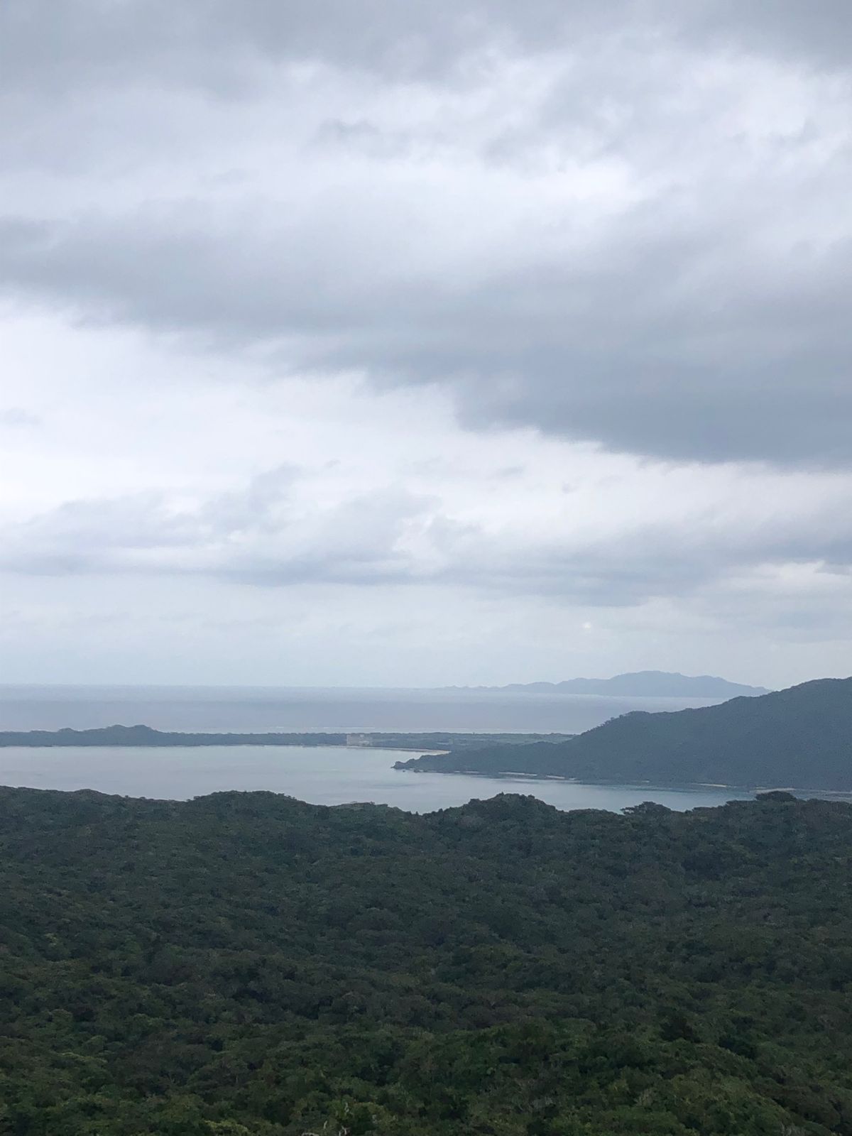 2022年1月1日　晴れ時々小雨
初日の出を見に近くの海岸に。その後、やら...