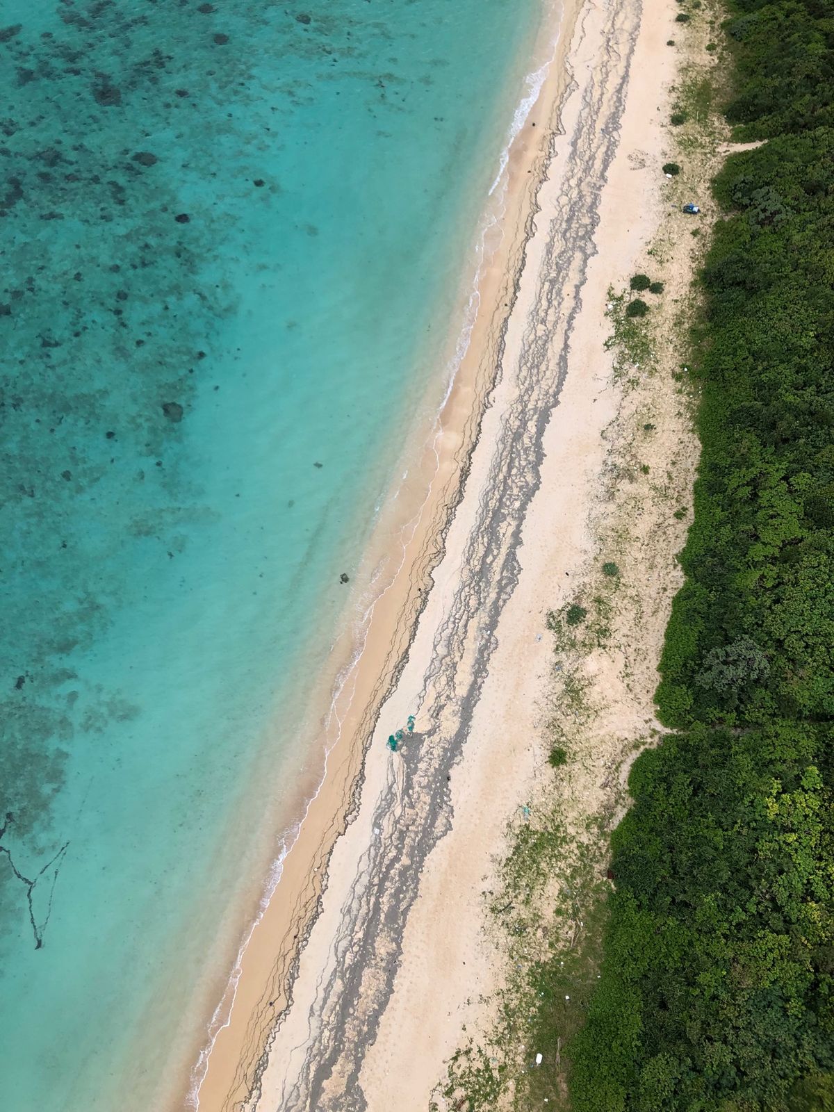 2021年12月28日　晴れ
今日は空から石垣島をたのしみます！
鳥になっ...