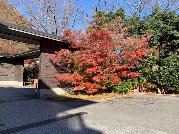 日本・京都市「2021 紅葉　京都　瑠璃光院」の写真