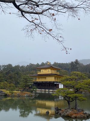 毎年恒例、京都年越し。
大晦日はあまり混んでないから良き☆
でも、今年の大...