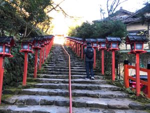 伏見稲荷大社、貴船神社、平等院鳳凰堂