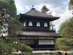 鹿苑寺金閣、慈照寺銀閣
ご当地グルメ一乗寺の極鶏さんの鶏だくらーめん
平等...