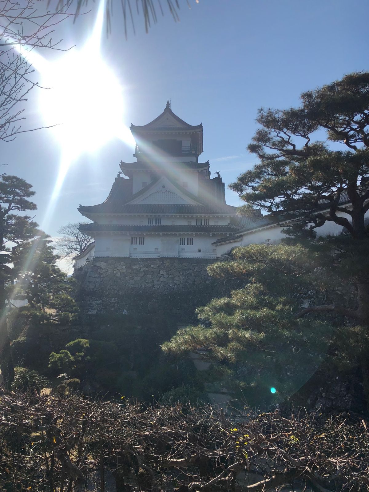 ①高知パレスホテル
②夜のはりまや橋
③桂浜の坂本龍馬像
④高知城