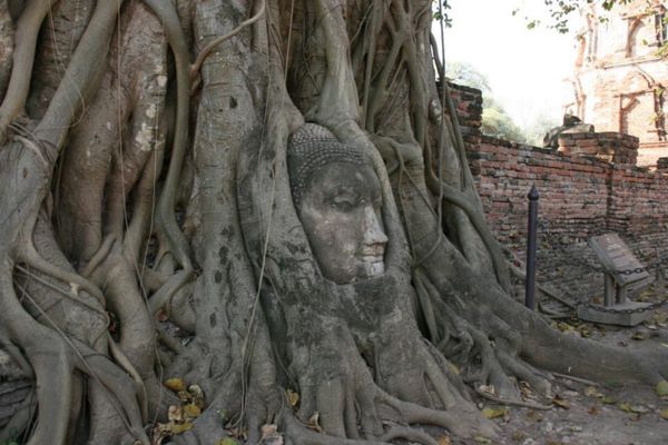 タイ・バンコク「タイの旅」の写真