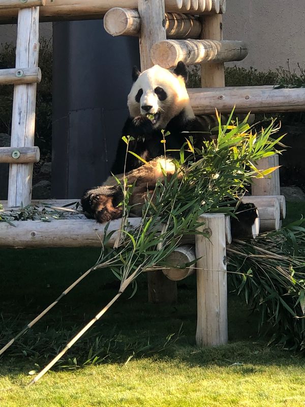 日本・和歌山県「和歌山正月旅行」の写真