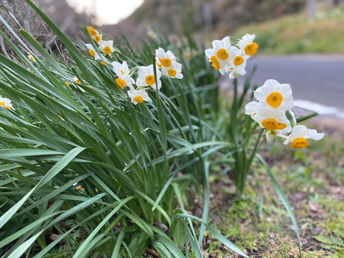 お昼は15時になったので館山のくるまやラーメンさん🍜
美味しくいただきまし...
