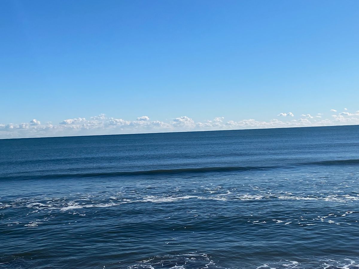 とても素敵なお宿
ささ游さん

朝近くの海に行ってみました🌊

太平洋
で...
