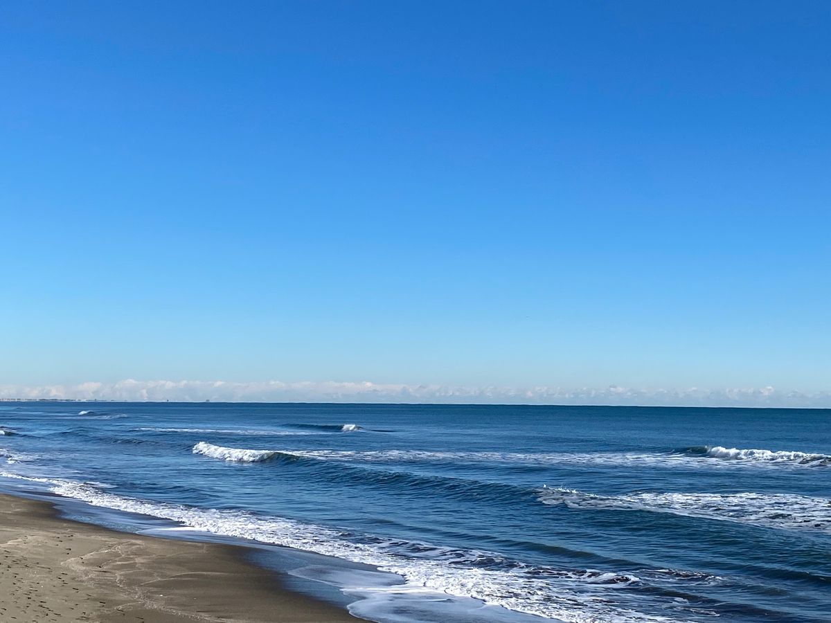 とても素敵なお宿
ささ游さん

朝近くの海に行ってみました🌊

太平洋
で...