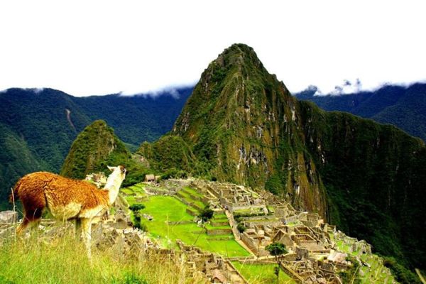 ボリビア多民族国・ラパス「ペルー、ボリビアの旅」の写真