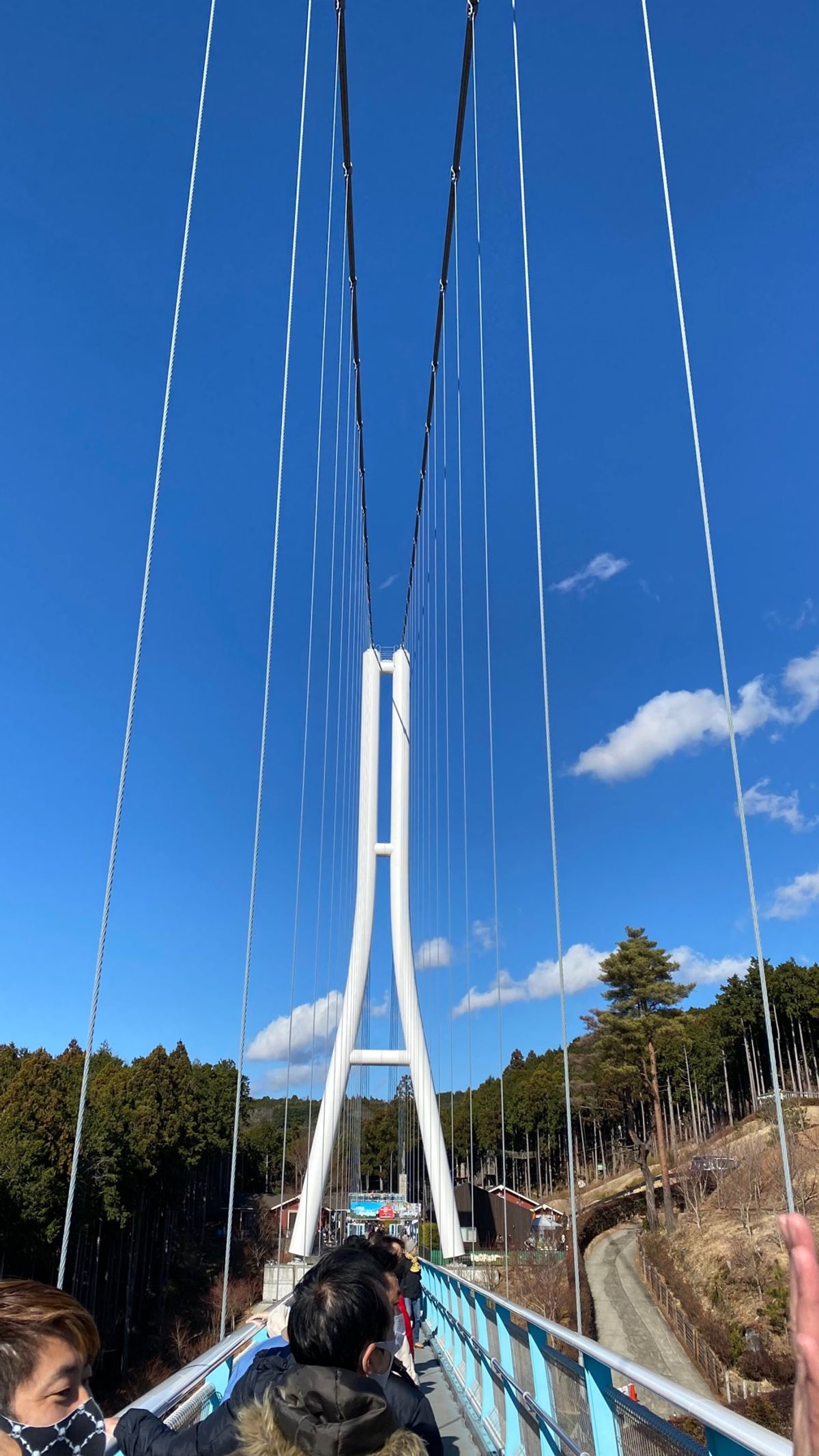 忍野八海
三島スカイウォーク
修善寺〜竹林
伊豆伊東温泉　かめや楽寛
沼津港