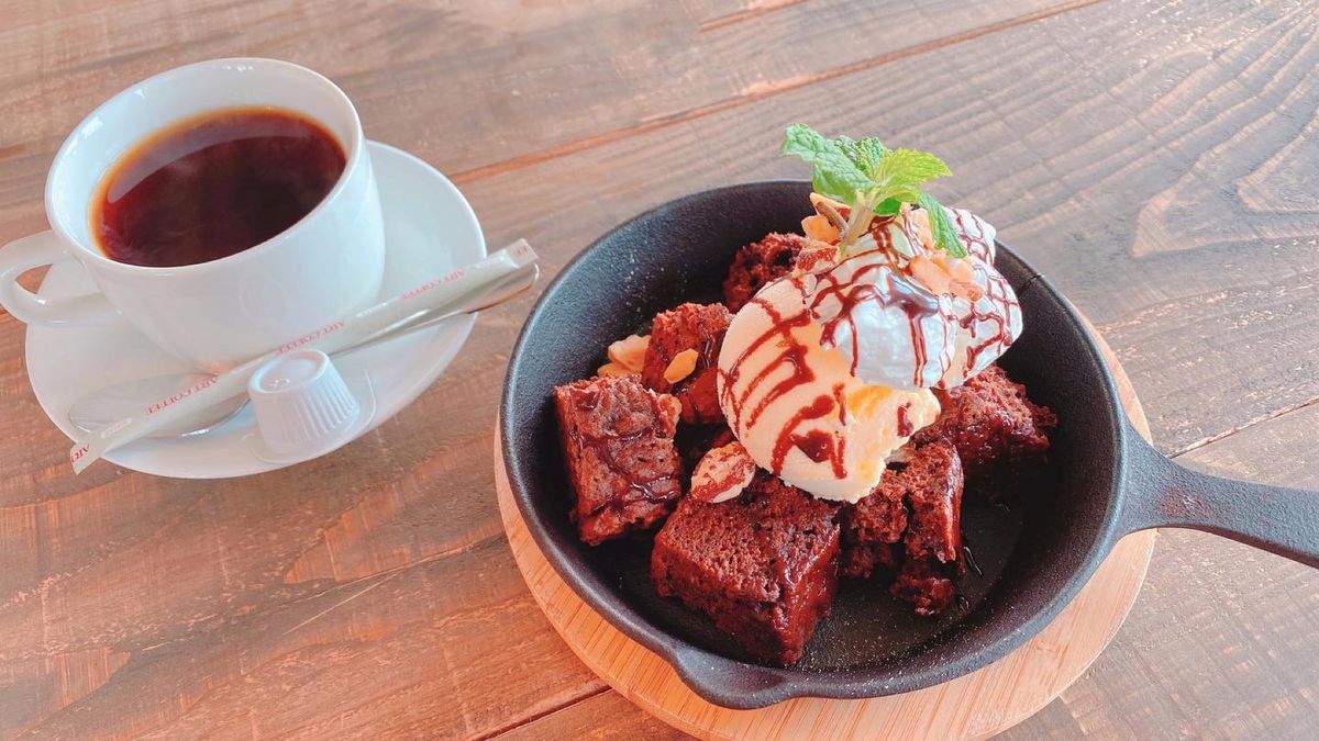 14th Nov. 2021 pic📷

The Junglila Caf...