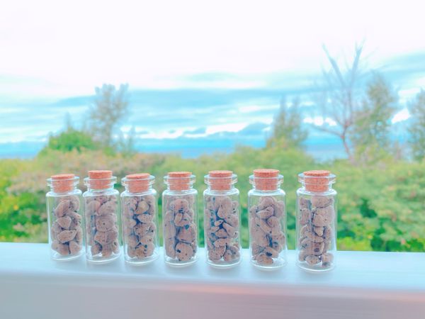 日本・沖縄県「物件trip★沖縄」の写真：13rd Nov. 2021 pic📷
...