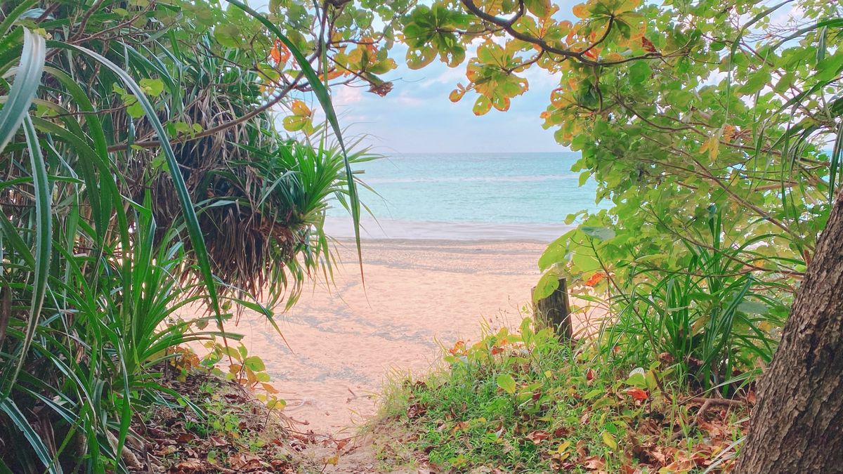 12nd Nov. 2021 pic📷

かりゆしビーチ*°

ホテルの真...