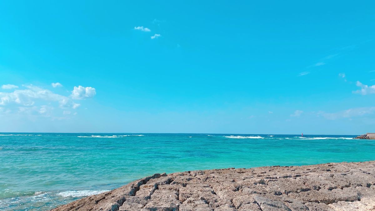 11st Nov. 2021 pic📷

楚辺ビーチ*°

違うビーチに移...