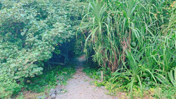 日本・沖縄県「物件trip★沖縄」の写真：12nd Nov. 2021 pic📷
...