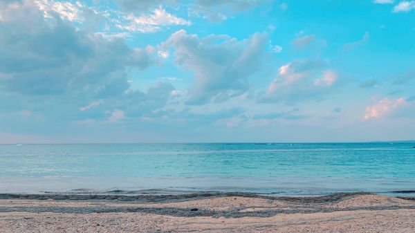 日本・沖縄県「物件trip★沖縄」の写真：12nd Nov. 2021 pic📷
...