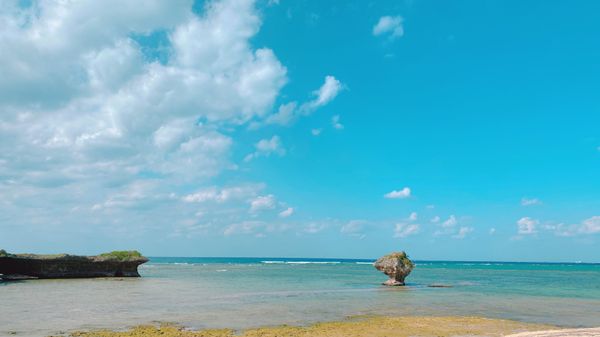 日本・沖縄県「物件trip★沖縄」の写真：11st Nov. 2021 pic📷
...