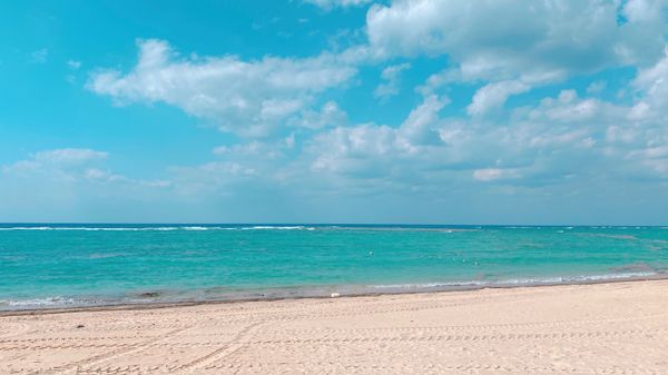 日本・沖縄県「物件trip★沖縄」の写真：11st Nov. 2021 pic📷
...