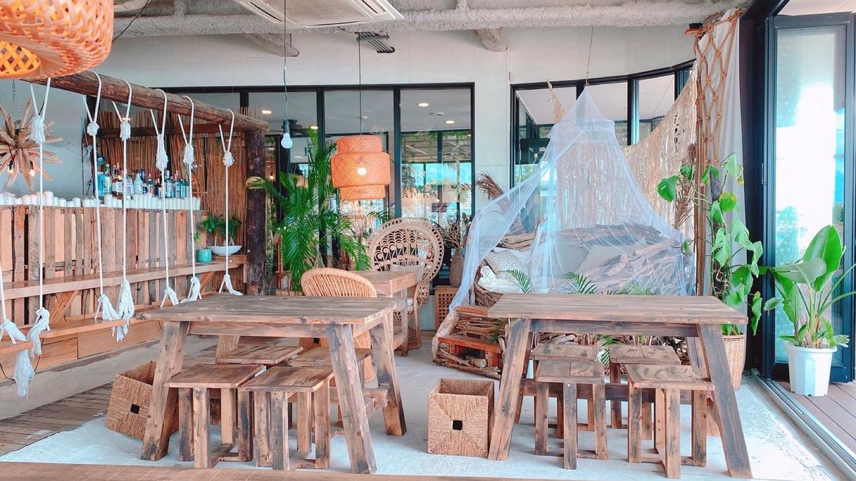 14th Nov. 2021 pic📷

The Junglila Caf...