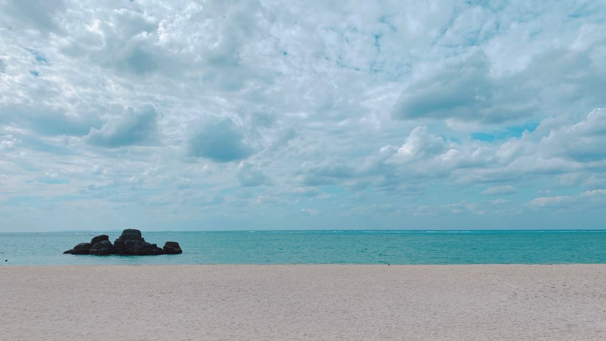 10th Nov. 2021 pic📷

沖縄に到着して、１番最初に来たか...