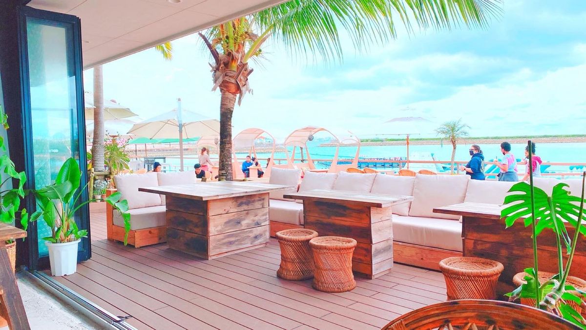 14th Nov. 2021 pic📷

The Junglila Caf...