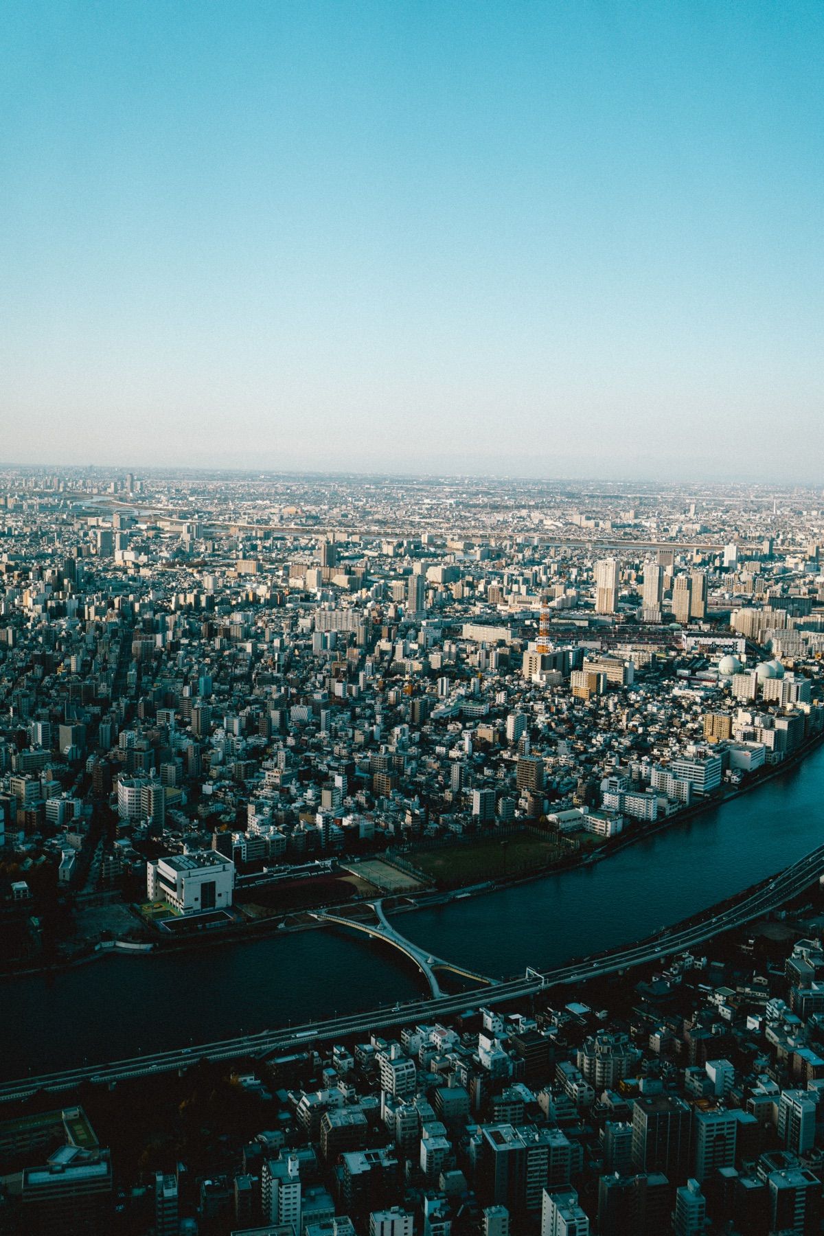 スカイツリー　陽の当たり方が良い