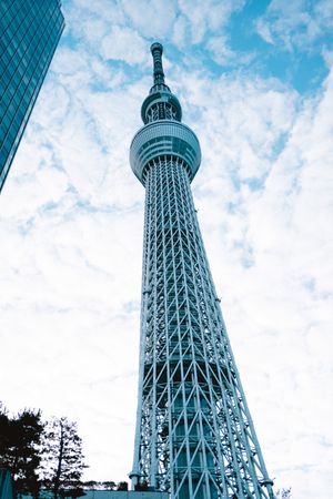 スカイツリー　陽の当たり方が良い