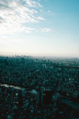スカイツリー　陽の当たり方が良い