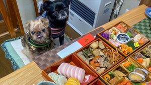 みなかみホワイトバレースキー場。谷川岳を一望