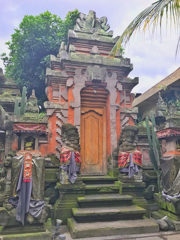 インドネシア・バリ島「Indonesia🇮🇩job⚑⁎∗」の写真：30th Jun. 2017 pic📷
...