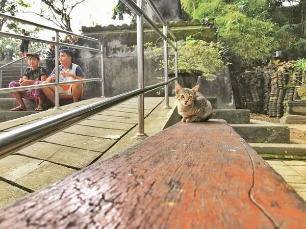 インドネシア・バリ島「Indonesia🇮🇩job⚑⁎∗」の写真：30th Jun. 2017 pic📷
...