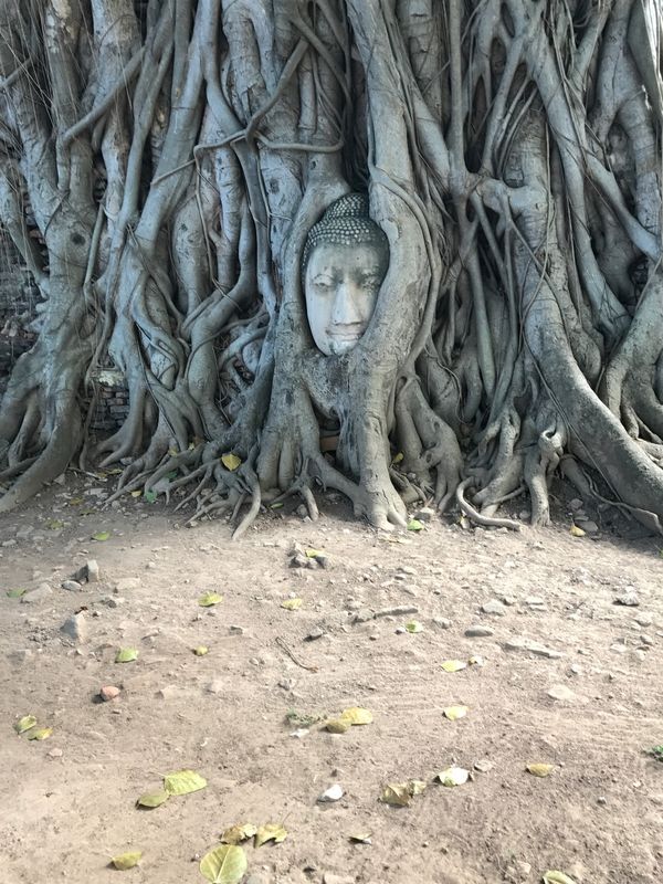 タイ・バンコク「海外旅行初心者、タイに行きタイ🇹🇼」の写真：遺跡編

歴史を感じました。
ガイドさん...